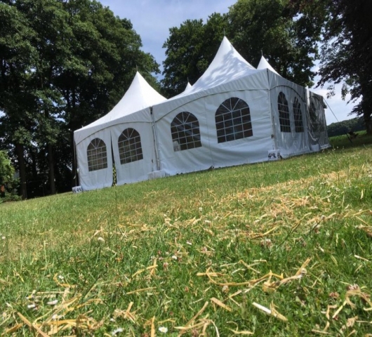 PAGODE KEDER TENT RONDE PALEN - INCL ZIJWANDEN - 3X3M - Foto 2